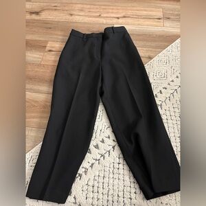 Aritzia Babaton Pants
